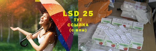 ПСИЛОЦИБИНОВЫЕ ГРИБЫ Абаза