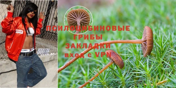 дурь Алексеевка