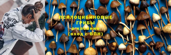 бошки Алзамай